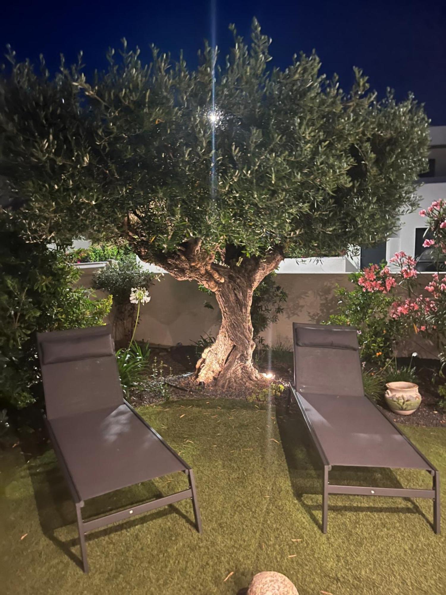 Villa Dolce Vida Proche Golf, Lac, Plage Et Collioure Villeneuve-de-la-Raho Esterno foto